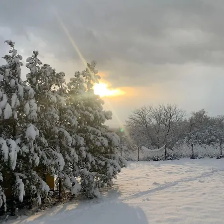 House Official * Ni